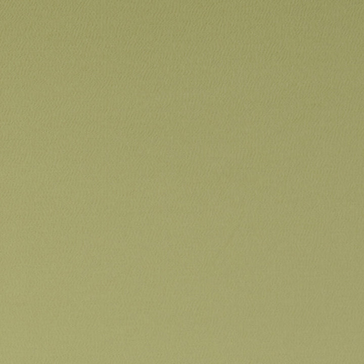 Spectrum Chameleon by Clarke And Clarke Fabric CLARKE & CLARKE SPECTRUM POLYESTER - 54%;COTTON - 46% India HEAVY Horizontal: - and Vertical: - 54 - Fabric Carolina -