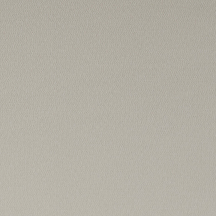 Spectrum Mushroom by Clarke And Clarke Fabric CLARKE & CLARKE SPECTRUM POLYESTER - 54%;COTTON - 46% India HEAVY Horizontal: and Vertical: 54 - Fabric Carolina -