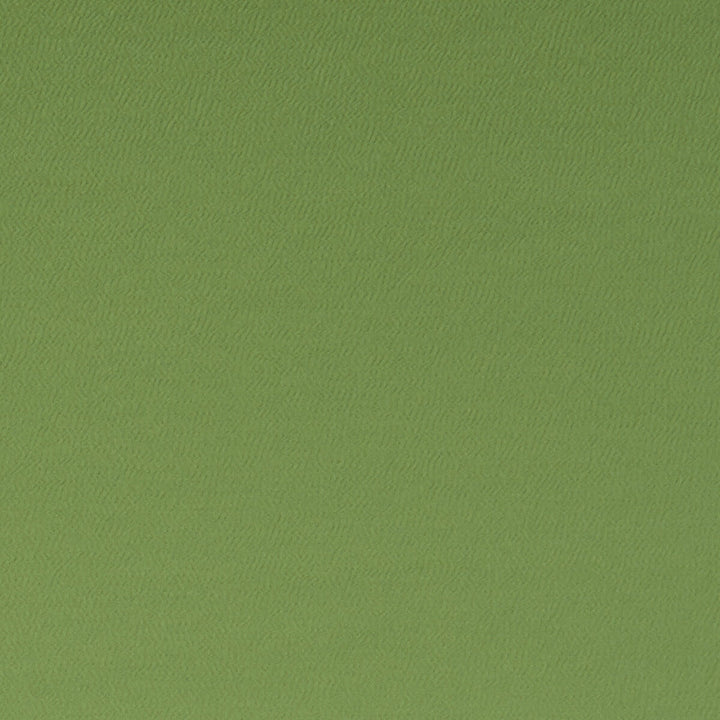 Spectrum Oregano by Clarke And Clarke Designer Fabric CLARKE & CLARKE SPECTRUM POLYESTER - 54%;COTTON - 46% India HEAVY Horizontal: and Vertical: 54 - Swanky Fabrics -