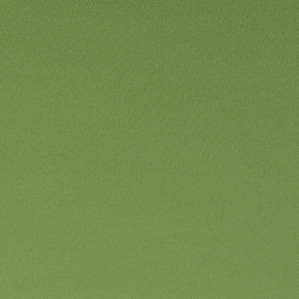 Spectrum Oregano by Clarke And Clarke Fabric CLARKE & CLARKE SPECTRUM POLYESTER - 54%;COTTON - 46% India HEAVY Horizontal: - and Vertical: - 54 - Fabric Carolina -