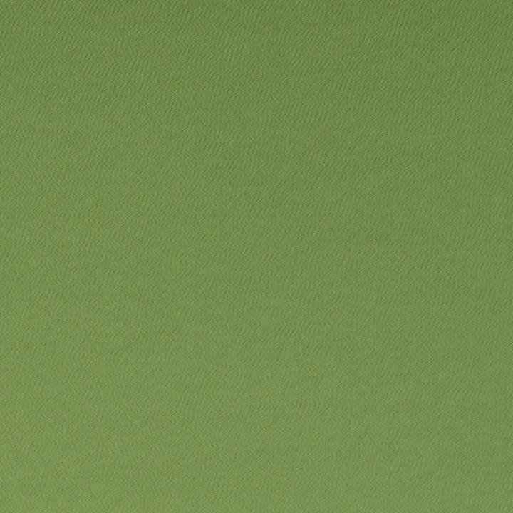 Spectrum Oregano by Clarke And Clarke Fabric CLARKE & CLARKE SPECTRUM POLYESTER - 54%;COTTON - 46% India HEAVY Horizontal: - and Vertical: - 54 - Fabric Carolina -