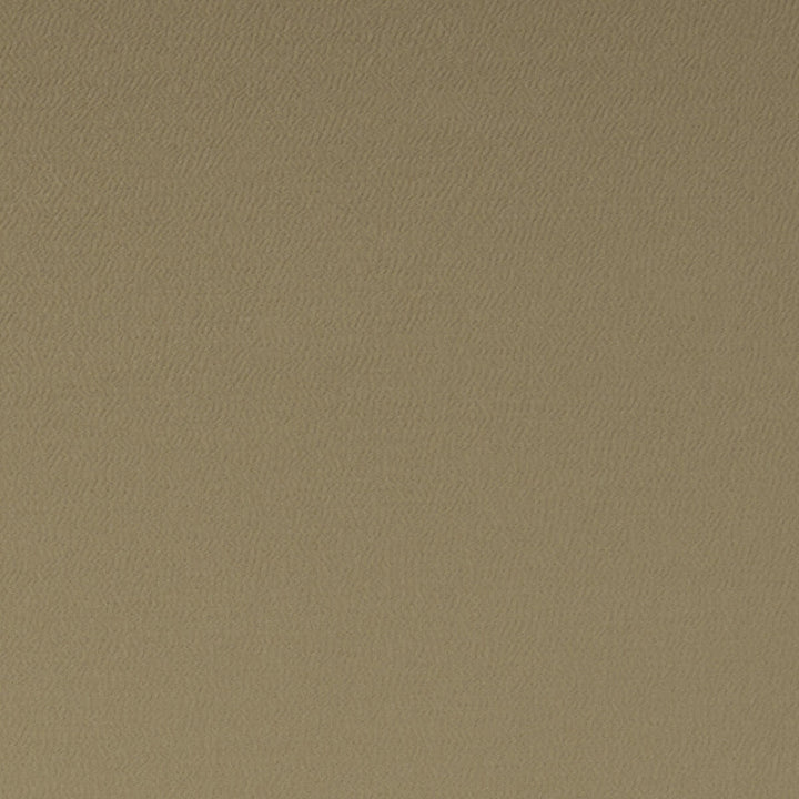 Spectrum Pecan by Clarke And Clarke Designer Fabric CLARKE & CLARKE SPECTRUM POLYESTER - 54%;COTTON - 46% India HEAVY Horizontal: - and Vertical: - 54 - Swanky Fabrics -