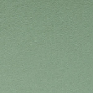 Spectrum Thyme by Clarke And Clarke Fabric