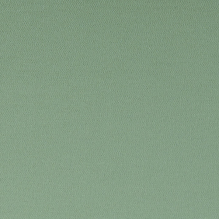 Spectrum Thyme by Clarke And Clarke Fabric CLARKE & CLARKE SPECTRUM POLYESTER - 54%;COTTON - 46% India HEAVY Horizontal: - and Vertical: - 54 - Fabric Carolina -