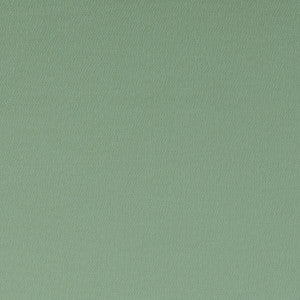 Spectrum Thyme by Clarke And Clarke Fabric