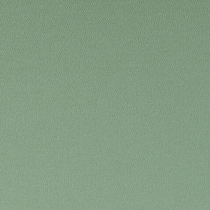 Spectrum Thyme by Clarke And Clarke Designer Fabric CLARKE & CLARKE SPECTRUM POLYESTER - 54%;COTTON - 46% India HEAVY Horizontal: and Vertical: 54 - Swanky Fabrics -