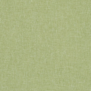 Midori Apple by Clarke And Clarke Fabric