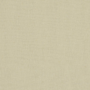 Midori Bamboo by Clarke And Clarke Fabric