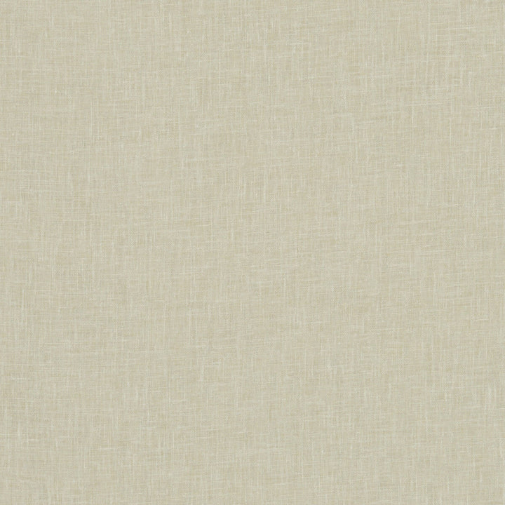 Midori Parsley by Clarke And Clarke Designer Fabric CLARKE & CLARKE MIDORI LINEN - 50%;POLYESTER - 50% Turkey Horizontal: 0 and Vertical: 0 117 - Swanky Fabrics -