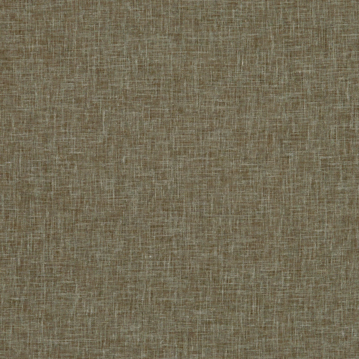F1068 47 Midori Truffle by Clarke and Clarke Fabric CLARKE & CLARKE LINEN - 50%;POLYESTER - 50% Turkey  Horizontal: 0 and Vertical: 0 117  - Fabric Carolina -