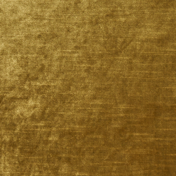 F1069 17 Allure Gold by Clarke and Clarke Fabric CLARKE & CLARKE POLYESTER - 100% India HEAVY Horizontal: 0 and Vertical: 0 57  - Fabric Carolina -
