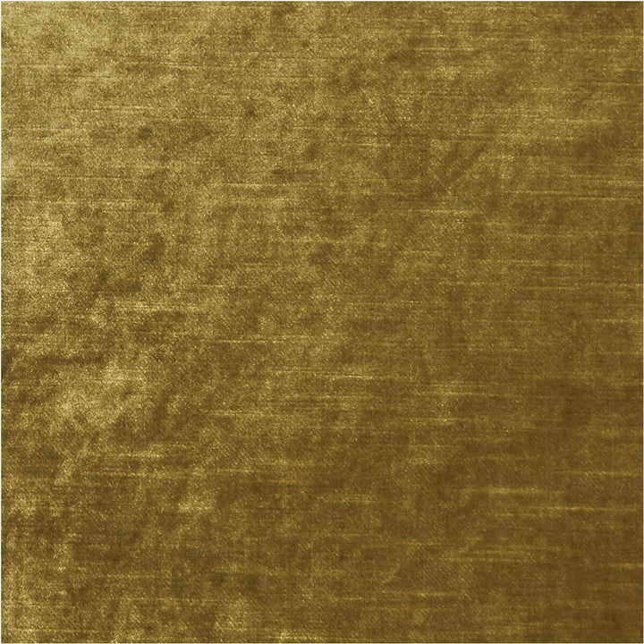 Allure Gold by Clarke And Clarke Fabric CLARKE & CLARKE ALLURE POLYESTER - 100% India HEAVY Horizontal: 0 and Vertical: 0 57 - Fabric Carolina -