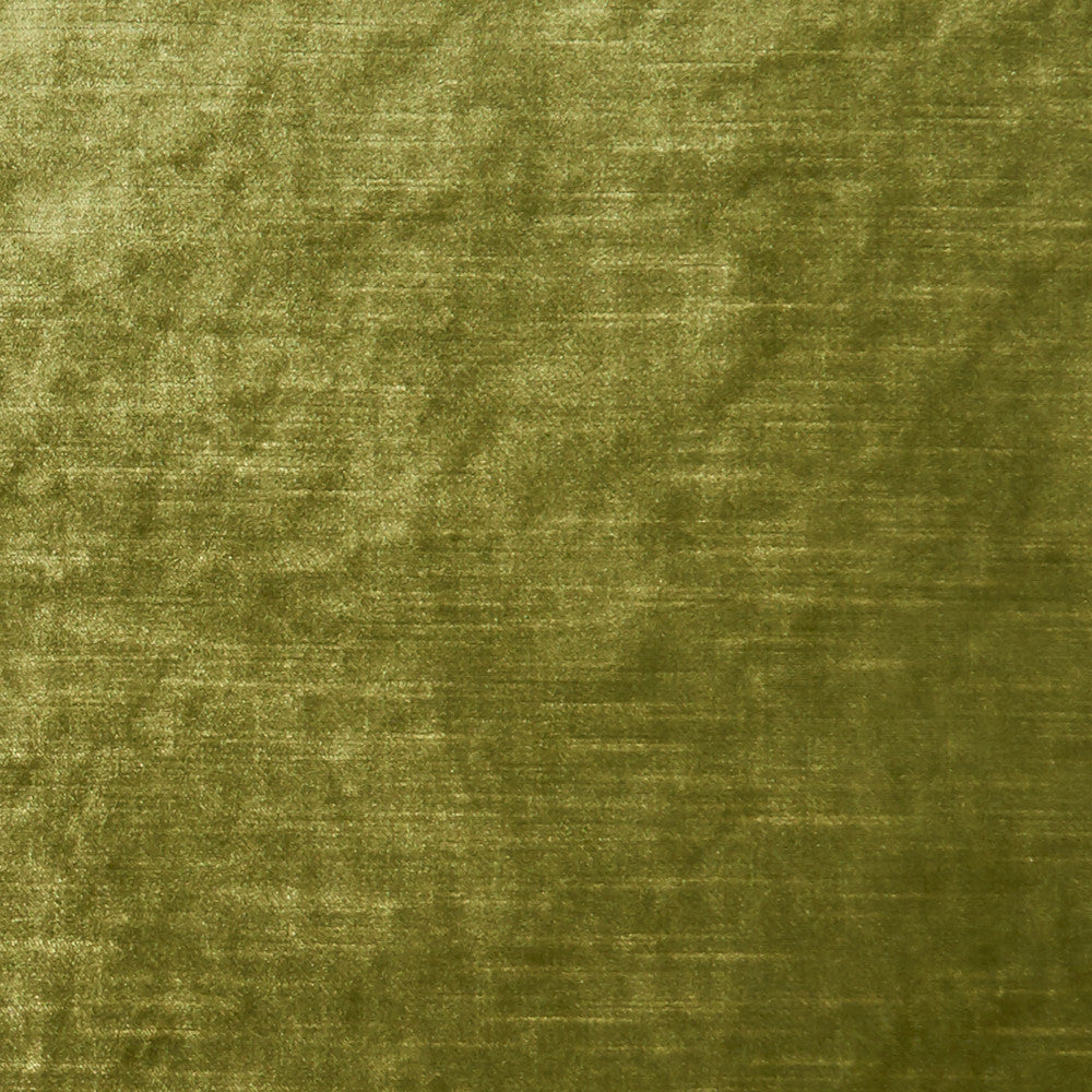 F1069 27 Allure Moss by Clarke and Clarke Fabric CLARKE & CLARKE POLYESTER - 100% India HEAVY Horizontal: 0 and Vertical: 0 57  - Fabric Carolina -