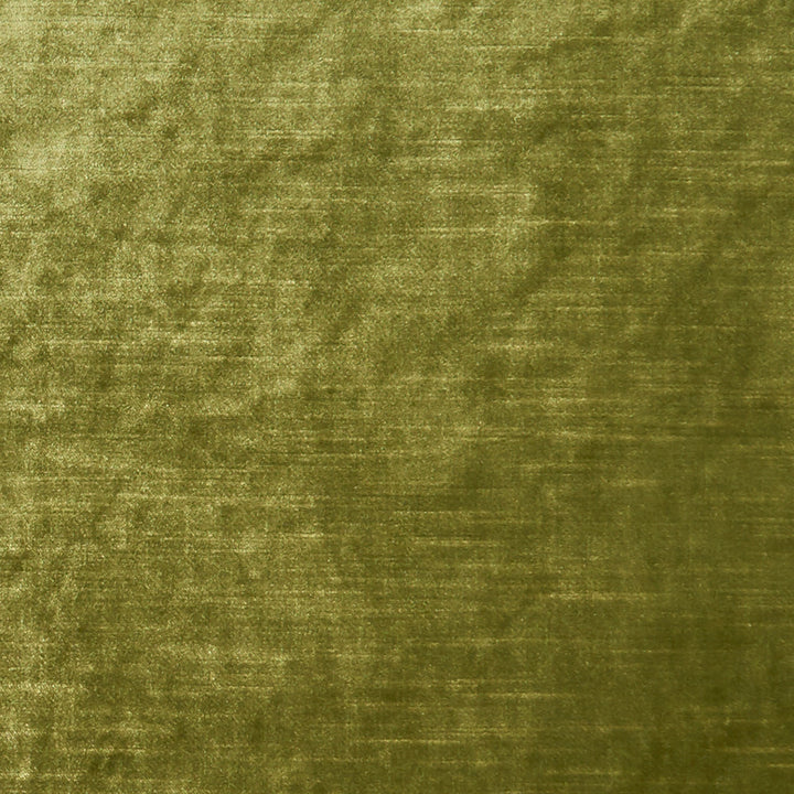 F1069 27 Allure Moss by Clarke and Clarke Fabric CLARKE & CLARKE POLYESTER - 100% India HEAVY Horizontal: 0 and Vertical: 0 57  - Fabric Carolina -