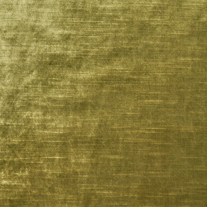 F1069 28 Allure Olive by Clarke and Clarke Fabric CLARKE & CLARKE POLYESTER - 100% India HEAVY Horizontal: 0 and Vertical: 0 57  - Fabric Carolina -