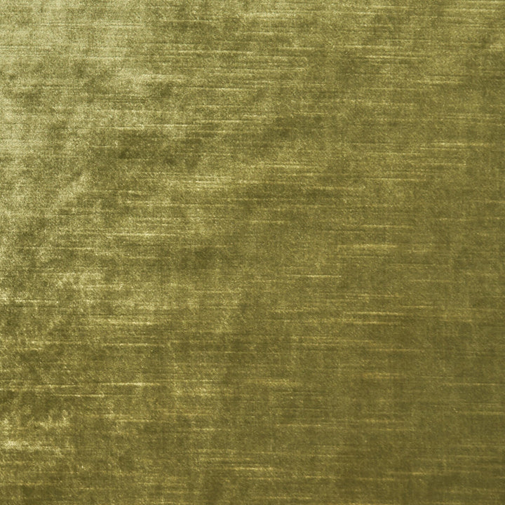 Allure Olive by Clarke And Clarke Fabric CLARKE & CLARKE ALLURE POLYESTER - 100% India HEAVY Horizontal: 0 and Vertical: 0 57 - Fabric Carolina -