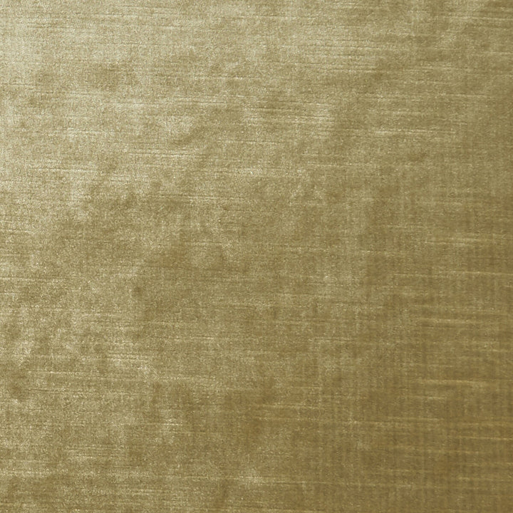 Allure Sand by Clarke And Clarke Fabric CLARKE & CLARKE ALLURE POLYESTER - 100% India HEAVY Horizontal: 0 and Vertical: 0 57 - Fabric Carolina -
