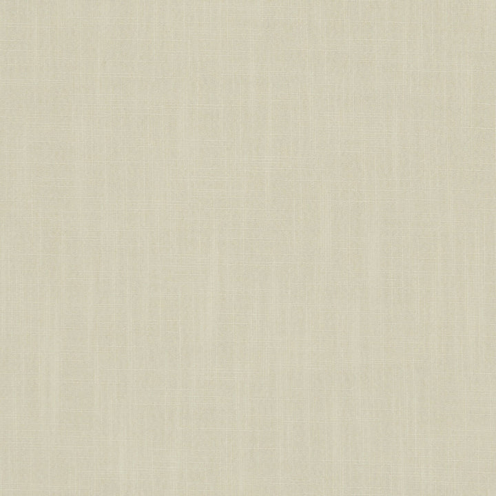 Hudson Cream by Clarke And Clarke Fabric CLARKE & CLARKE HUDSON POLYESTER FR - 100% China Horizontal: 0 and Vertical: 0 110 - Fabric Carolina -