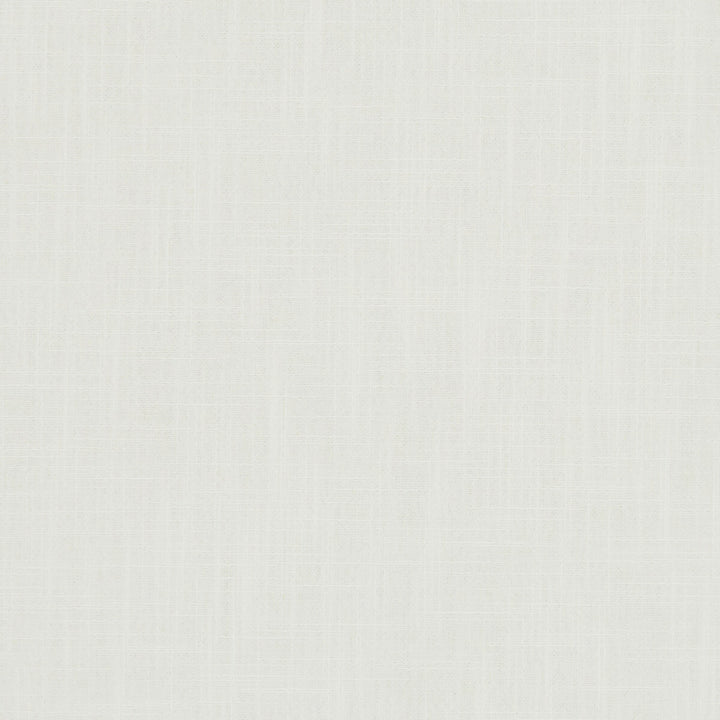 Hudson Ivory by Clarke And Clarke Fabric CLARKE & CLARKE HUDSON POLYESTER FR - 100% China - Horizontal: 0 and Vertical: 0 110 - Fabric Carolina -
