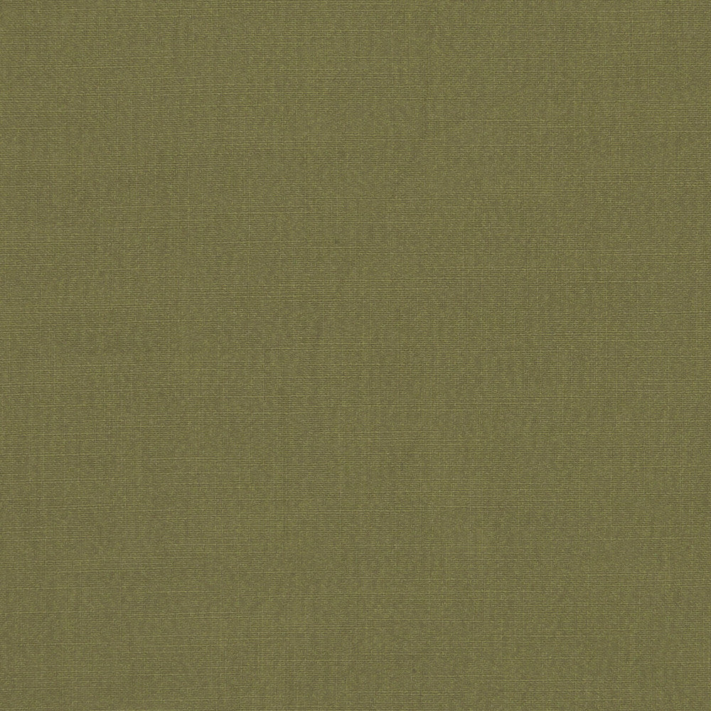 Hudson Pesto by Clarke And Clarke Fabric CLARKE & CLARKE HUDSON POLYESTER FR - 100% China Horizontal: 0 and Vertical: 0 110 - Fabric Carolina -