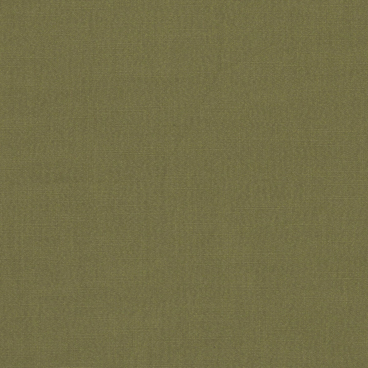 Hudson Pesto by Clarke And Clarke Fabric CLARKE & CLARKE HUDSON POLYESTER FR - 100% China Horizontal: 0 and Vertical: 0 110 - Fabric Carolina -