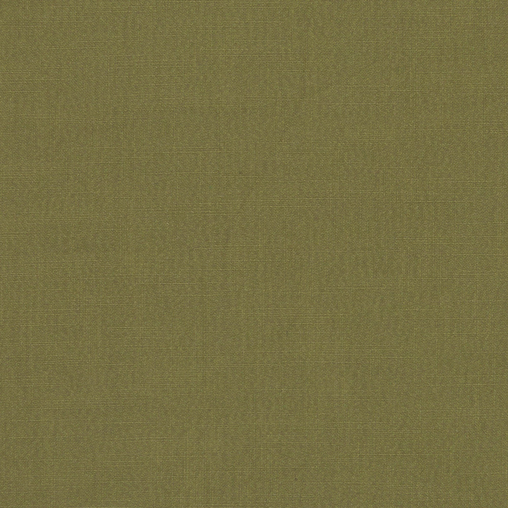 F1076 23 Hudson Pesto by Clarke and Clarke Fabric CLARKE & CLARKE POLYESTER FR - 100% China  Horizontal: 0 and Vertical: 0 110  - Fabric Carolina -