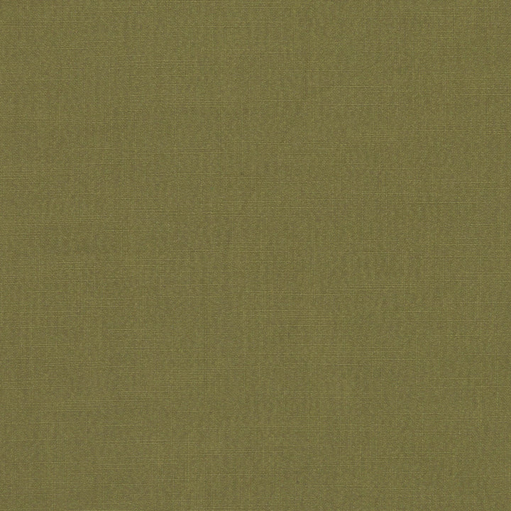 F1076 23 Hudson Pesto by Clarke and Clarke Fabric CLARKE & CLARKE POLYESTER FR - 100% China  Horizontal: 0 and Vertical: 0 110  - Fabric Carolina -