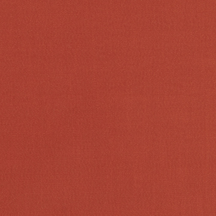 Hudson Spice by Clarke And Clarke Fabric CLARKE & CLARKE HUDSON POLYESTER FR - 100% China Horizontal: 0 and Vertical: 0 110 - Fabric Carolina -
