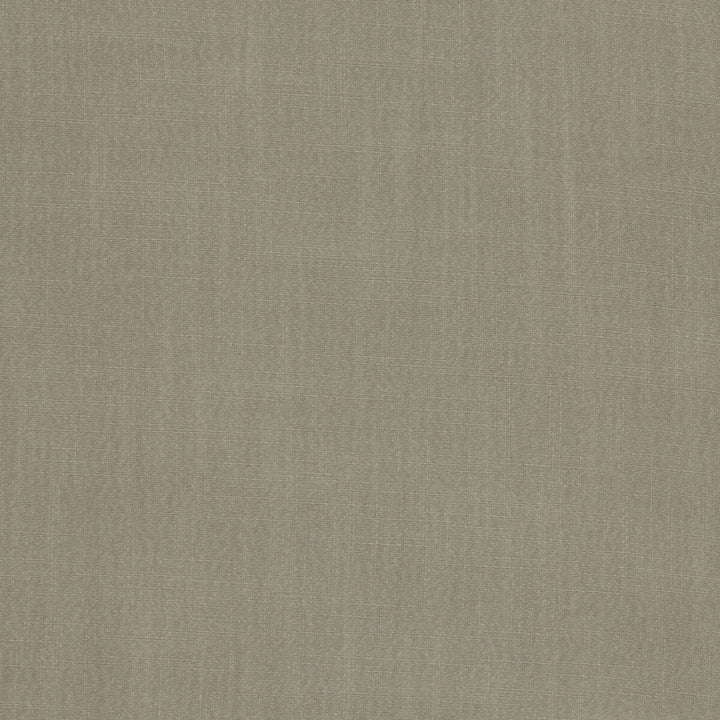 Hudson Taupe by Clarke And Clarke Fabric CLARKE & CLARKE HUDSON POLYESTER FR - 100% China - Horizontal: 0 and Vertical: 0 110 - Fabric Carolina -