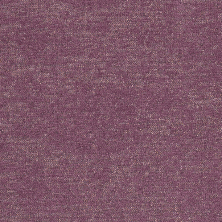 Castilla Orchid by Clarke And Clarke Fabric CLARKE & CLARKE CASTILLA POLYESTER - 100% China HEAVY Horizontal: 27.95 and Vertical: 9.84 56 - Fabric Carolina -