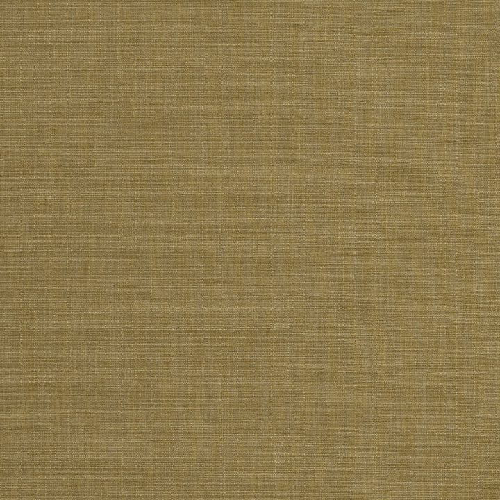 Seda Antique by Clarke And Clarke Fabric CLARKE & CLARKE TUSSAH & SEDA POLYESTER - 100% India HEAVY Horizontal: 0 and Vertical: 0 54.375 - Fabric Carolina -