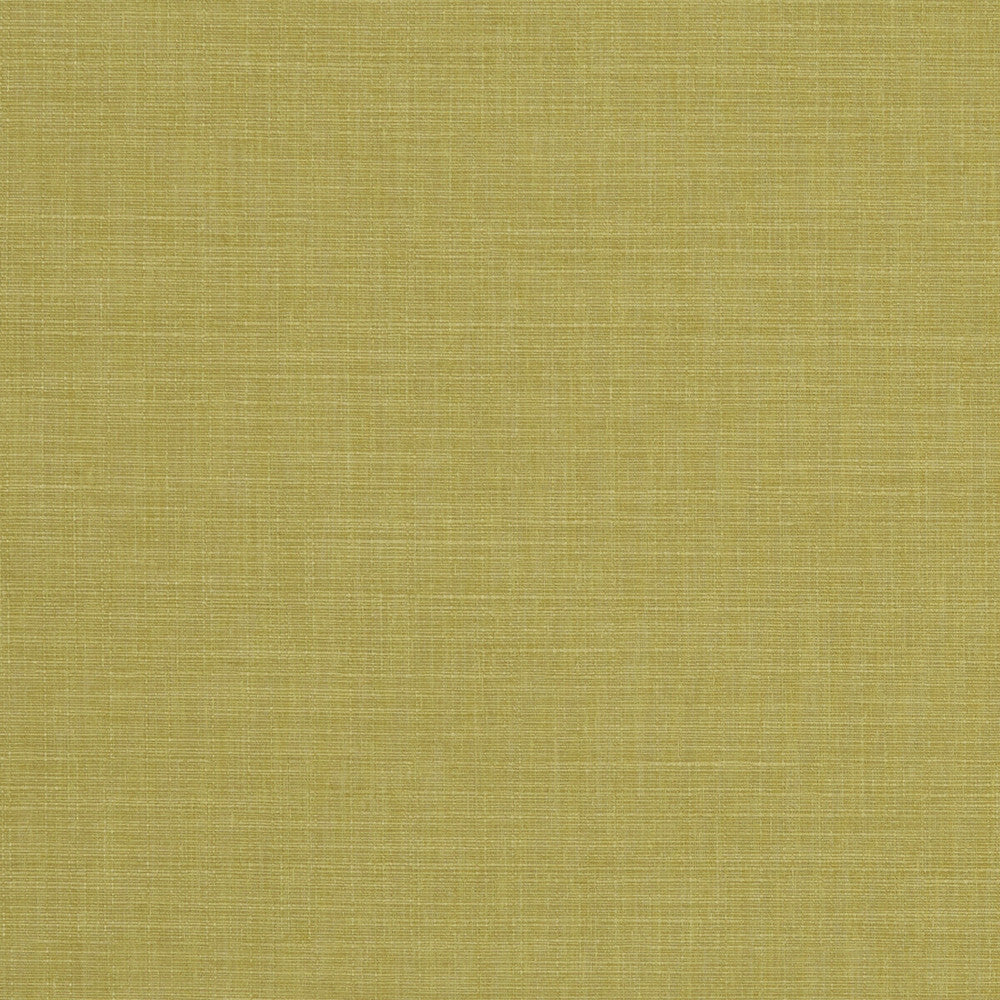 Seda Citron by Clarke And Clarke Fabric CLARKE & CLARKE TUSSAH & SEDA POLYESTER - 100% India HEAVY Horizontal: 0 and Vertical: 0 54.375 - Fabric Carolina -