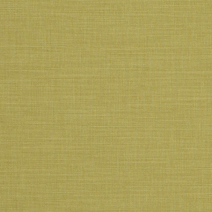 Seda Citron by Clarke And Clarke Fabric Clarke And Clarke Fabric Seda CitronFabric CLARKE & CLARKE TUSSAH & SEDA POLYESTER - 100% India </p><p>Repeat: H: 0, V: 0 54.375 - Fabric Carolina -