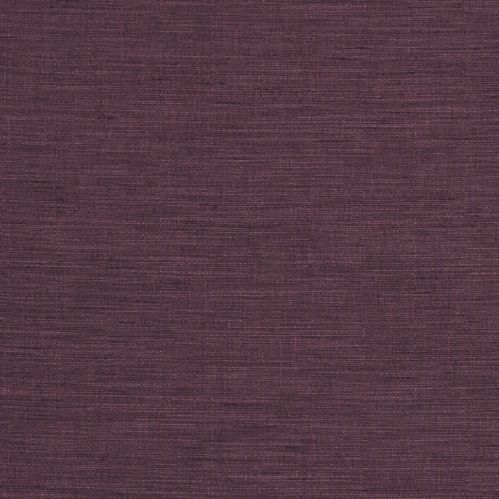 Seda Damson by Clarke And Clarke Fabric CLARKE & CLARKE TUSSAH & SEDA POLYESTER - 100% India HEAVY Horizontal: 0 and Vertical: 0 54.375 - Fabric Carolina -