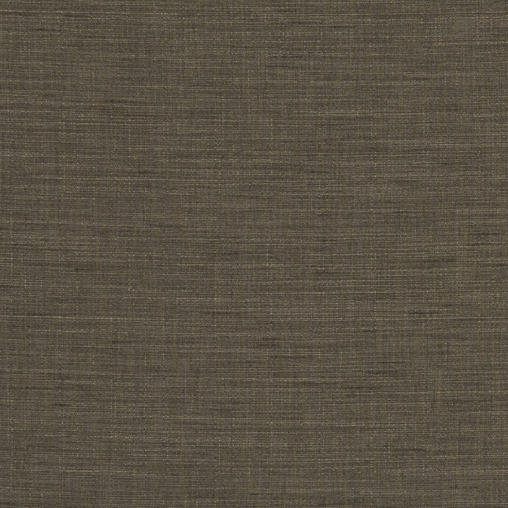Seda Espresso by Clarke And Clarke Fabric CLARKE & CLARKE TUSSAH & SEDA POLYESTER - 100% India HEAVY Horizontal: 0 and Vertical: 0 54.375 - Fabric Carolina -