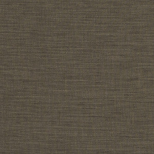 Seda Espresso by Clarke And Clarke Fabric