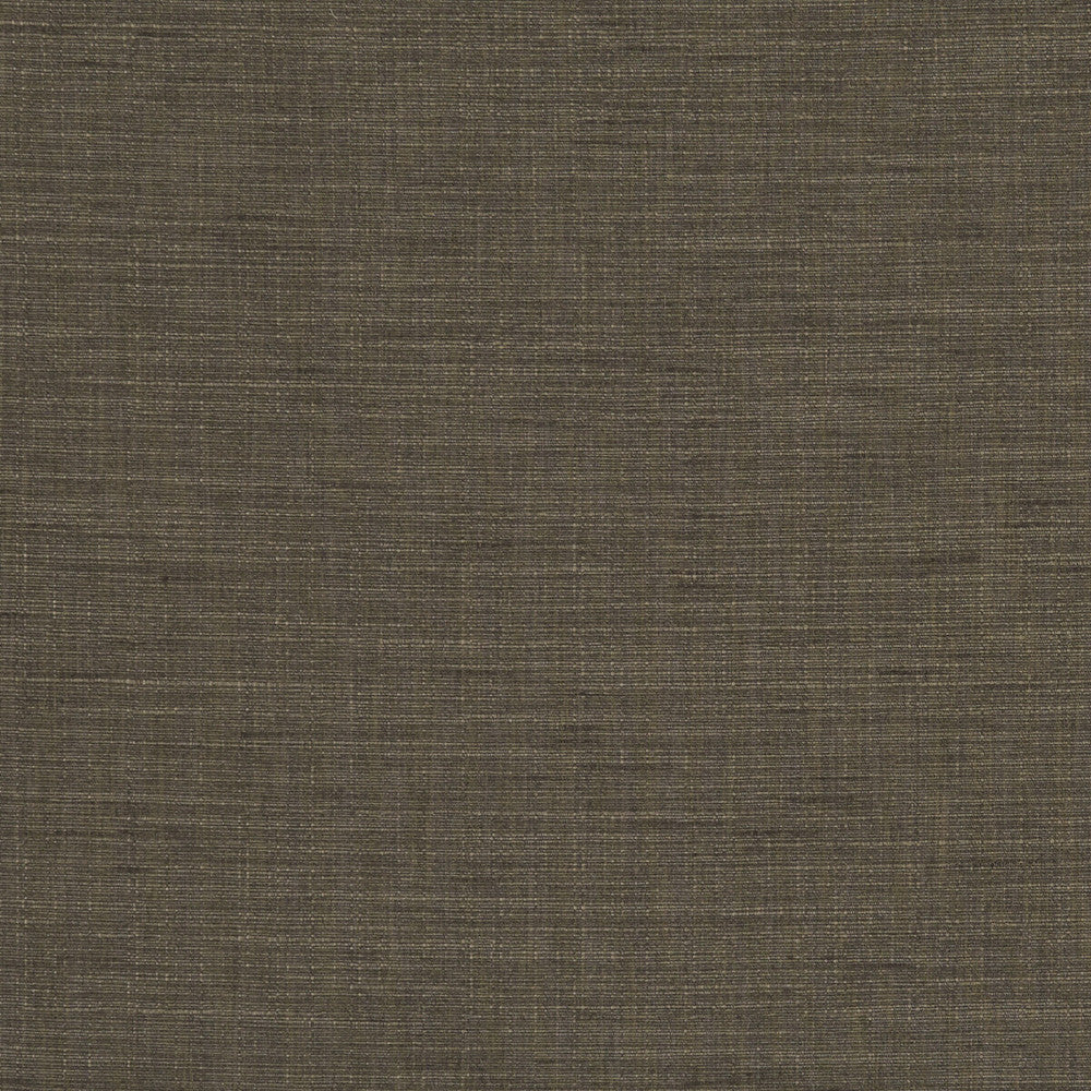 Seda Espresso by Clarke And Clarke Fabric CLARKE & CLARKE TUSSAH & SEDA POLYESTER - 100% India HEAVY Horizontal: 0 and Vertical: 0 54.375 - Fabric Carolina -