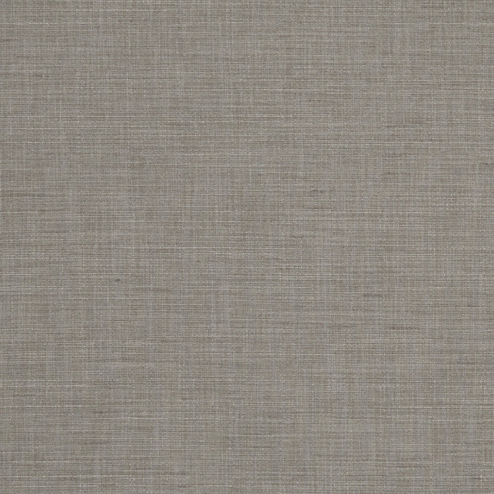 Seda Feather by Clarke And Clarke Fabric CLARKE & CLARKE TUSSAH & SEDA POLYESTER - 100% India HEAVY Horizontal: 0 and Vertical: 0 54.375 - Fabric Carolina -