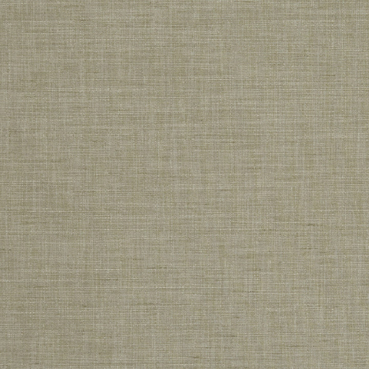 Seda Flax by Clarke And Clarke Fabric CLARKE & CLARKE TUSSAH & SEDA POLYESTER - 100% India HEAVY Horizontal: 0 and Vertical: 0 54.375 - Fabric Carolina -