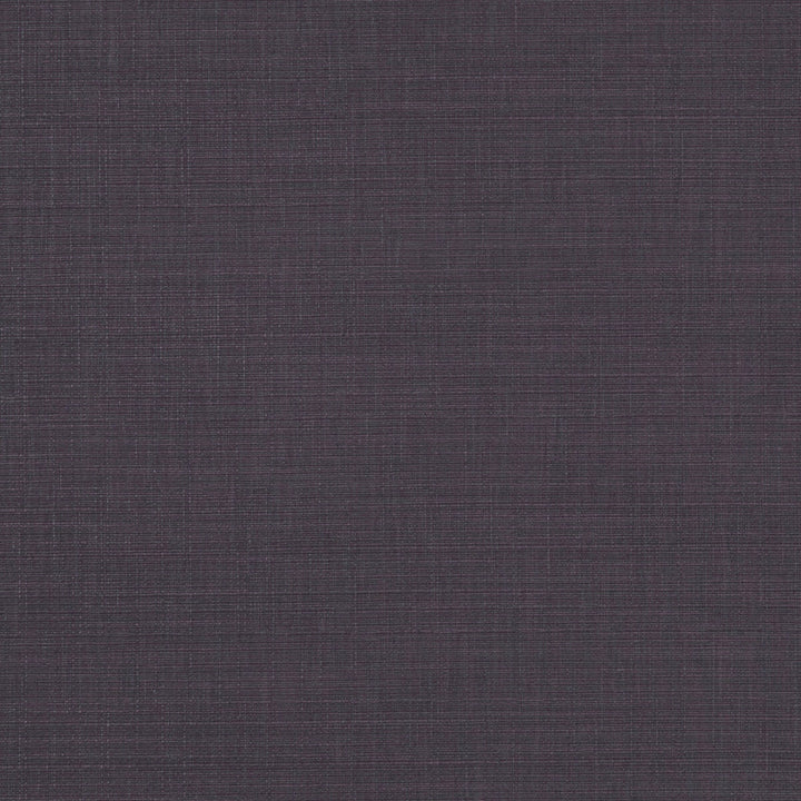 Seda Grape by Clarke And Clarke Fabric Clarke And Clarke Fabric Seda GrapeFabric CLARKE & CLARKE TUSSAH & SEDA POLYESTER - 100% India </p><p>Repeat: H: 0, V: 0 54.375 - Fabric Carolina -