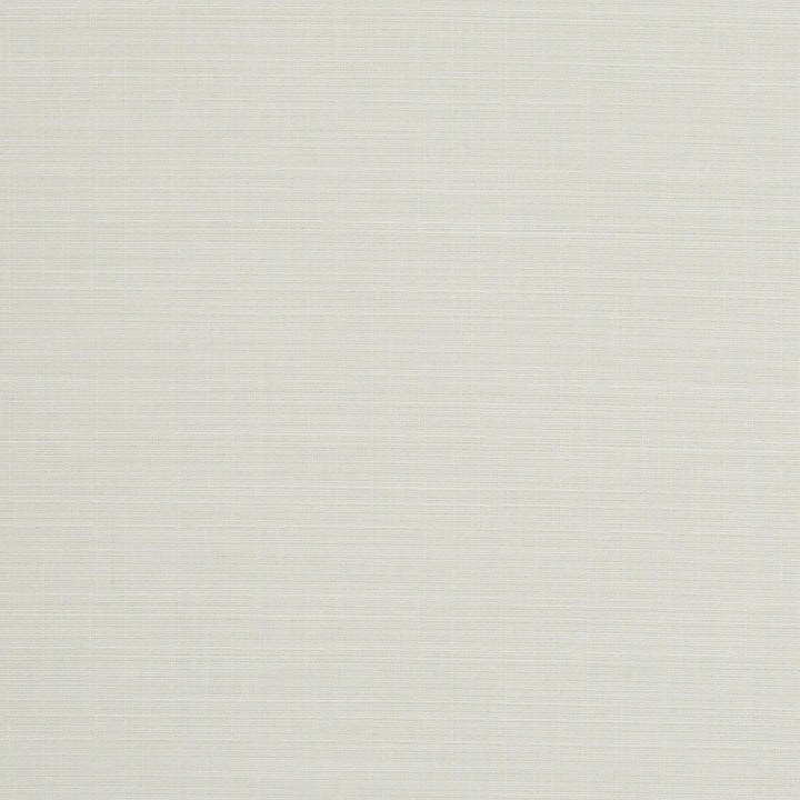 Seda Ivory by Clarke And Clarke Fabric CLARKE & CLARKE TUSSAH & SEDA POLYESTER - 100% India HEAVY Horizontal: 0 and Vertical: 0 54.375 - Fabric Carolina -