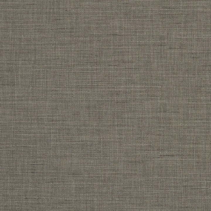 Seda Mink by Clarke And Clarke Fabric Clarke And Clarke Fabric Seda MinkFabric CLARKE & CLARKE TUSSAH & SEDA POLYESTER - 100% India </p><p>Repeat: H: 0, V: 0 54.375 - Fabric Carolina -