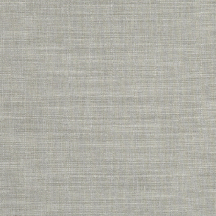 Seda Mist by Clarke And Clarke Fabric Clarke And Clarke Fabric Seda MistFabric CLARKE & CLARKE TUSSAH & SEDA POLYESTER - 100% India </p><p>Repeat: H: 0, V: 0 54.375 - Fabric Carolina -