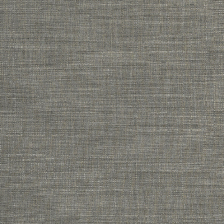 Seda Mocha by Clarke And Clarke Fabric CLARKE & CLARKE TUSSAH & SEDA POLYESTER - 100% India HEAVY Horizontal: 0 and Vertical: 0 54.375 - Fabric Carolina -