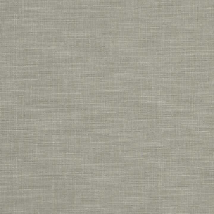 Seda Mushroom by Clarke And Clarke Fabric CLARKE & CLARKE TUSSAH & SEDA POLYESTER - 100% India HEAVY Horizontal: 0 and Vertical: 0 54.375 - Fabric Carolina -