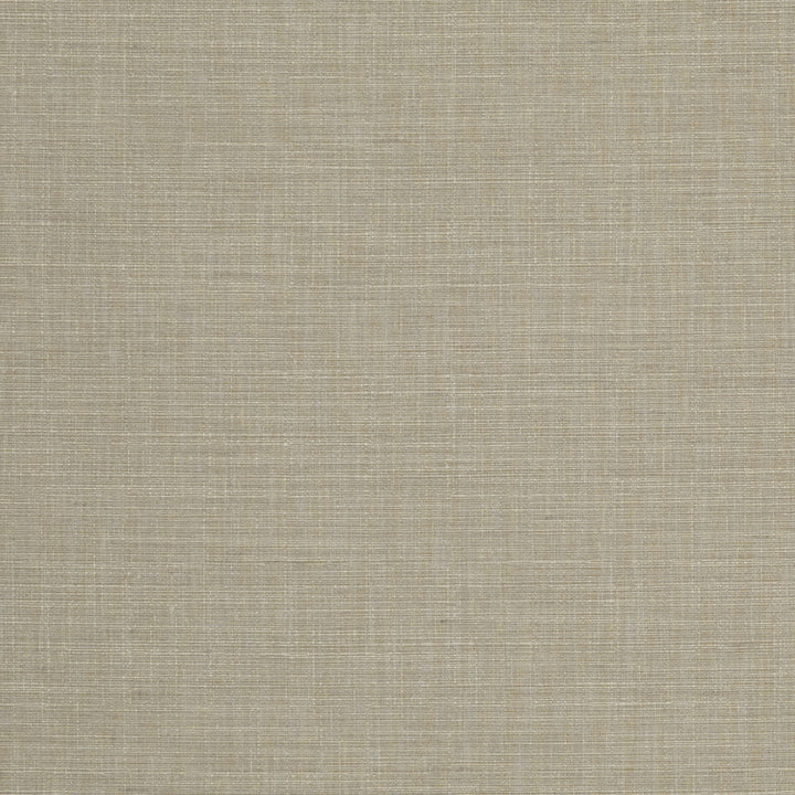 Seda Natural by Clarke And Clarke Fabric CLARKE & CLARKE TUSSAH & SEDA POLYESTER - 100% India HEAVY Horizontal: 0 and Vertical: 0 54.375 - Fabric Carolina -
