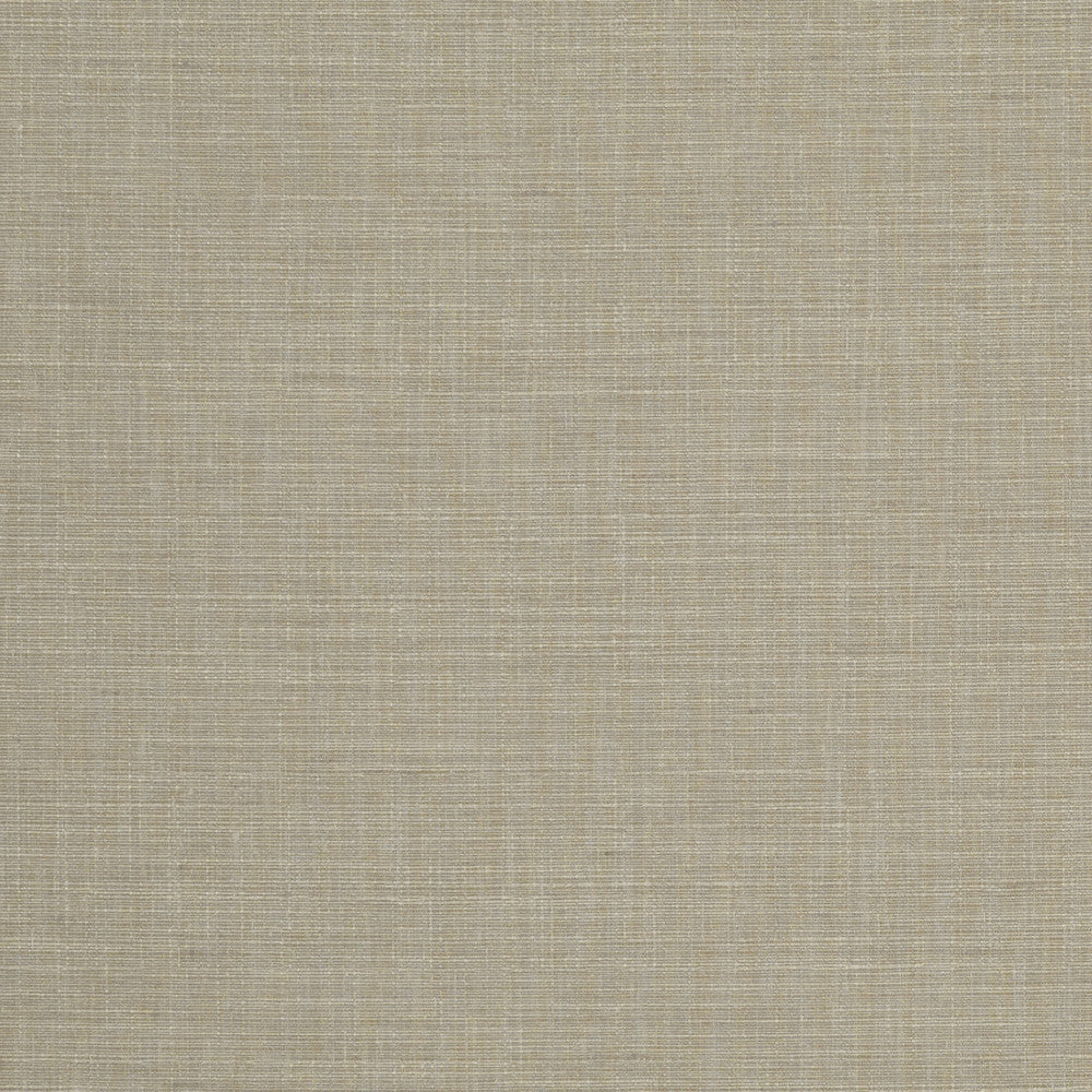 Seda Natural by Clarke And Clarke Fabric CLARKE & CLARKE TUSSAH & SEDA POLYESTER - 100% India HEAVY Horizontal: 0 and Vertical: 0 54.375 - Fabric Carolina -