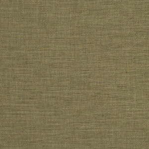 Seda Olive by Clarke And Clarke Fabric