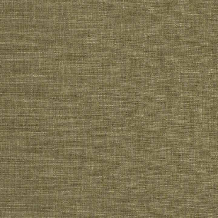 Seda Olive by Clarke And Clarke Fabric CLARKE & CLARKE TUSSAH & SEDA POLYESTER - 100% India HEAVY Horizontal: 0 and Vertical: 0 54.375 - Fabric Carolina -
