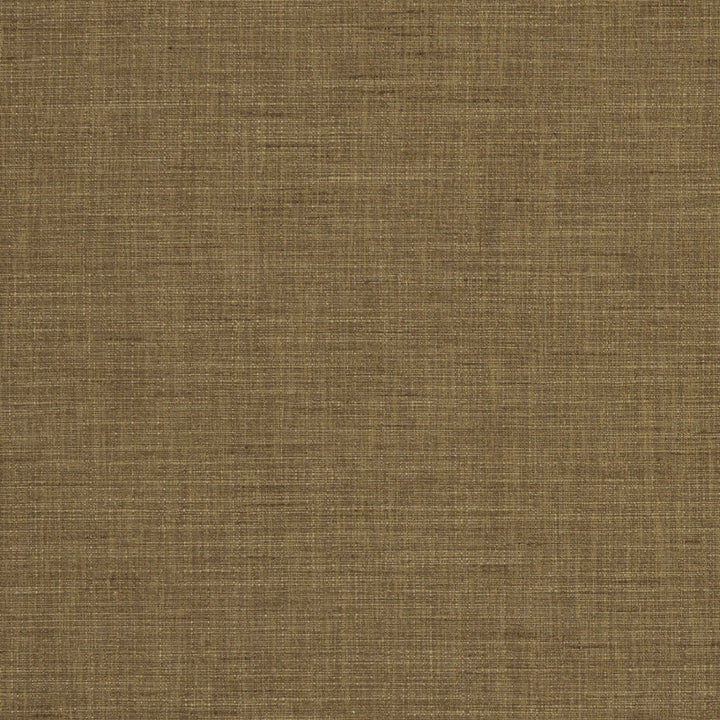 Seda Paprika by Clarke And Clarke Fabric CLARKE & CLARKE TUSSAH & SEDA POLYESTER - 100% India HEAVY Horizontal: 0 and Vertical: 0 54.375 - Fabric Carolina -